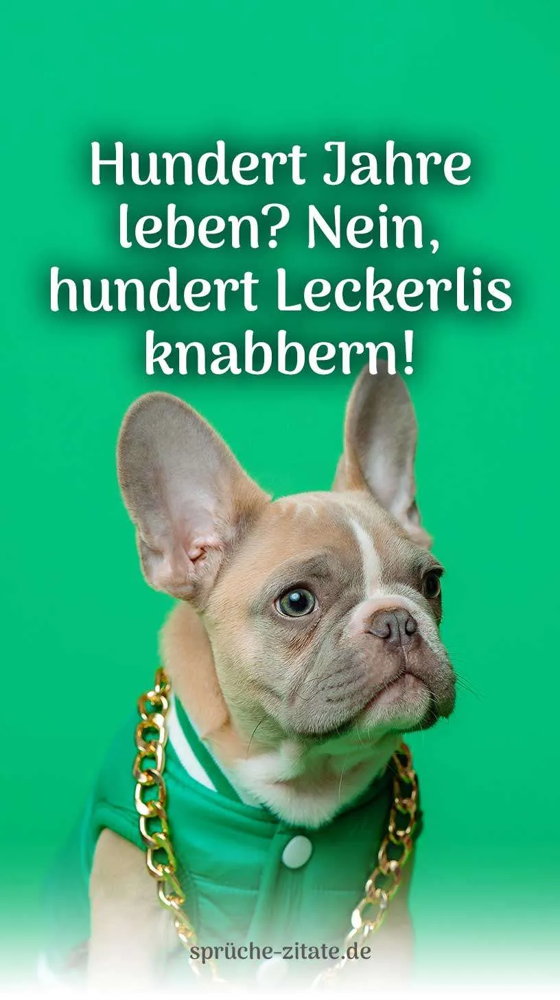 Geburtstagswunsch Geburtstagsgruß Hund Hunde Hündin Kostenlos Bild WhatsApp Versenden Teilen Social Media Instagram französische Bulldogge Beige cool Leckerlie