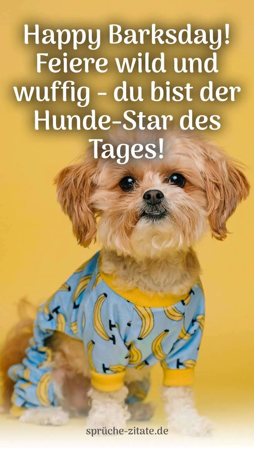 Geburtstagswunsch Geburtstagsgruß Hund Hunde Hündin Kostenlos Bild WhatsApp Versenden Teilen Social Media Instagram wuscheliger kleiner 