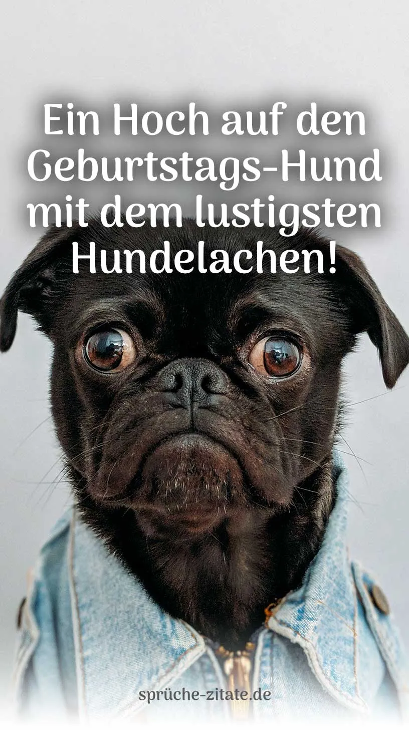 Geburtstagswunsch Geburtstagsgruß Hund Hunde Hündin Kostenlos Bild WhatsApp Versenden Teilen Social Media Instagram Mops