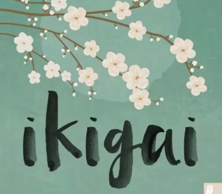 Ikigai Das japanische Geheimnis für ein langes und glückliches Leben Buchempfehlung: Lohnt es sich?
